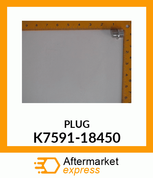 PLUG K7591-18450