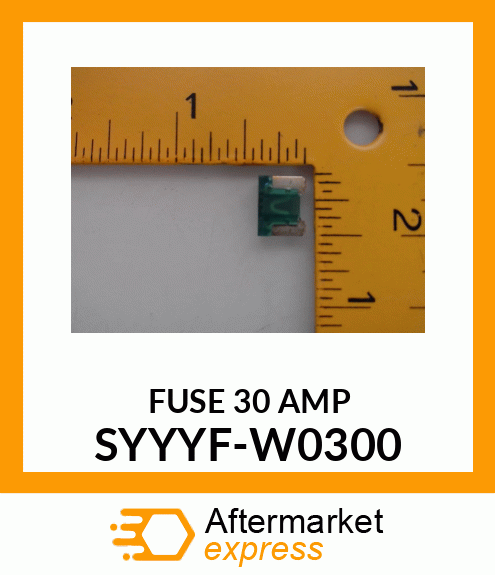 FUSE_30_AMP SYYYF-W0300