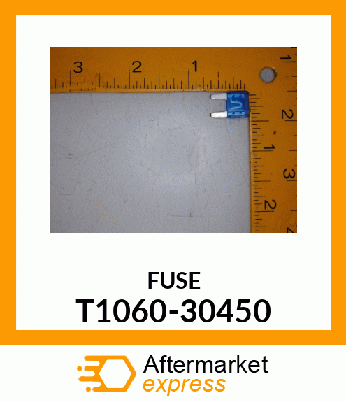 FUSE T1060-30450