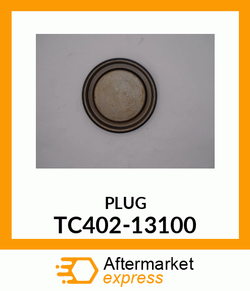 PLUG TC402-13100