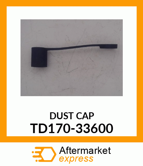 DUST CAP TD170-33600