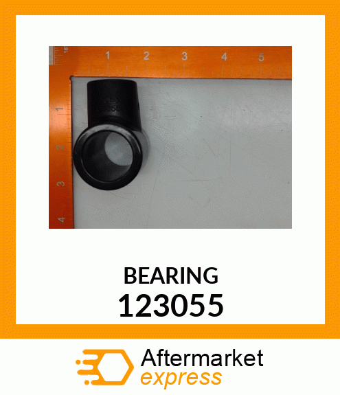 BEARING 123055