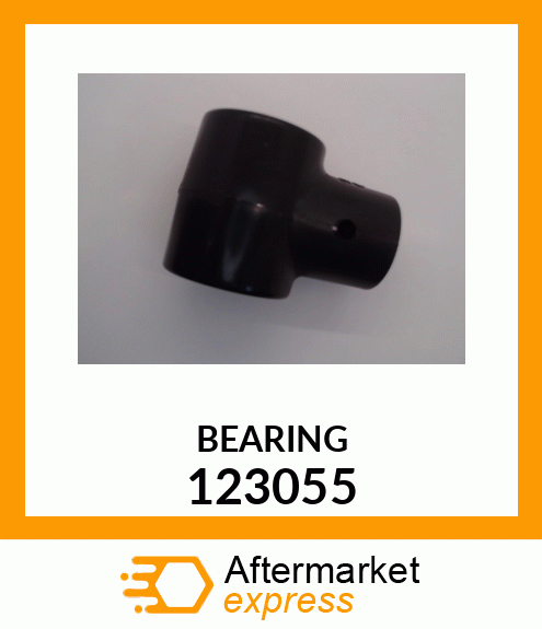 BEARING 123055