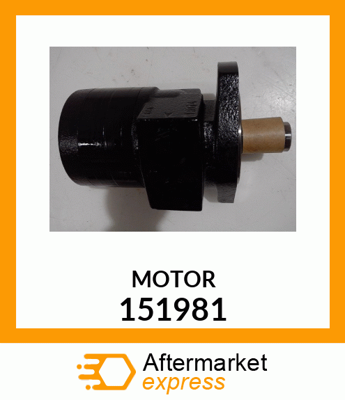 MOTOR 151981