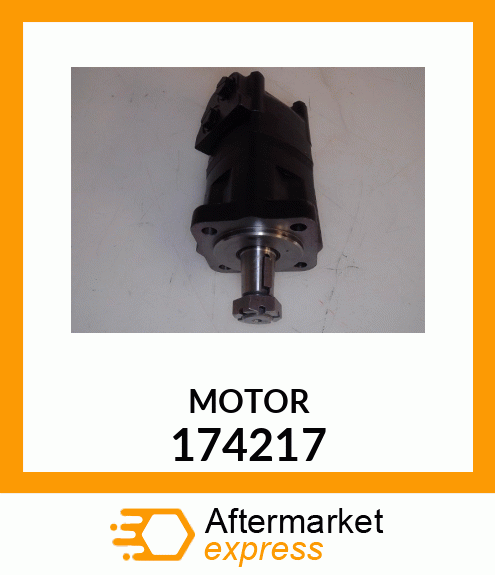 MOTOR 174217