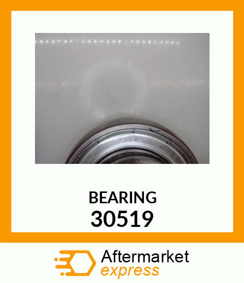 BEARING 30519