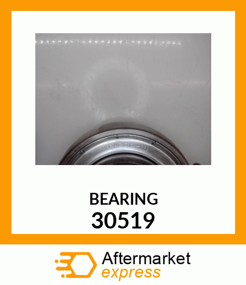 BEARING 30519