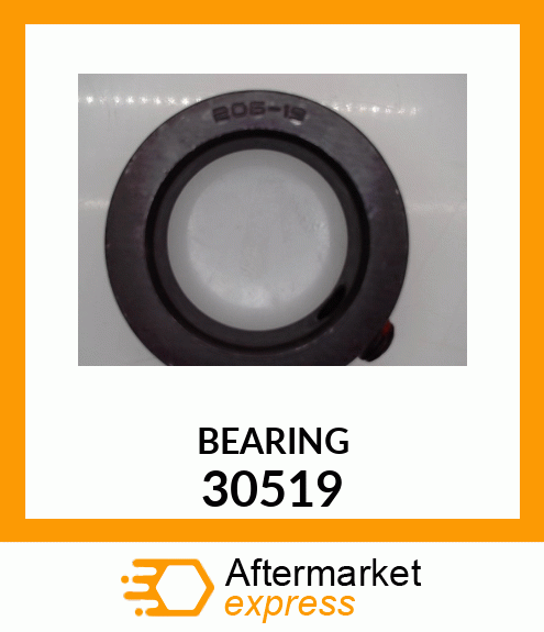 BEARING 30519