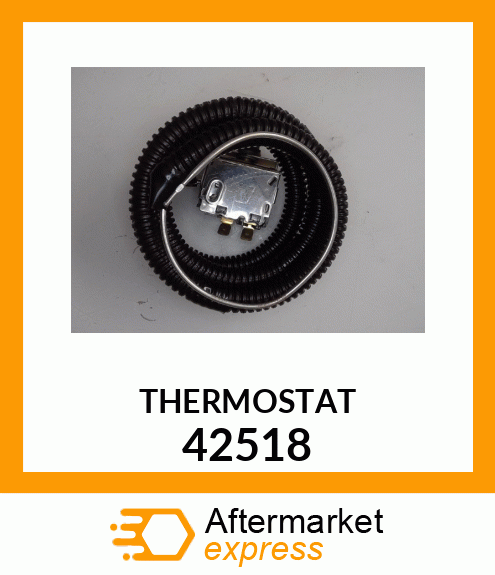 THERMOSTAT 42518