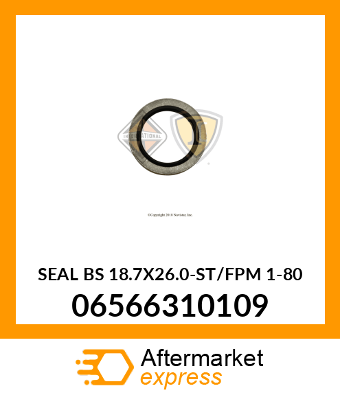 SEAL BS 18.7X26.0-ST/FPM 1-80 06566310109