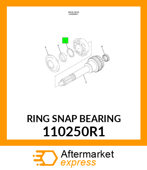 RING SNAP BEARING 110250R1