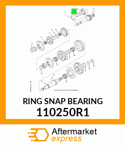 RING SNAP BEARING 110250R1