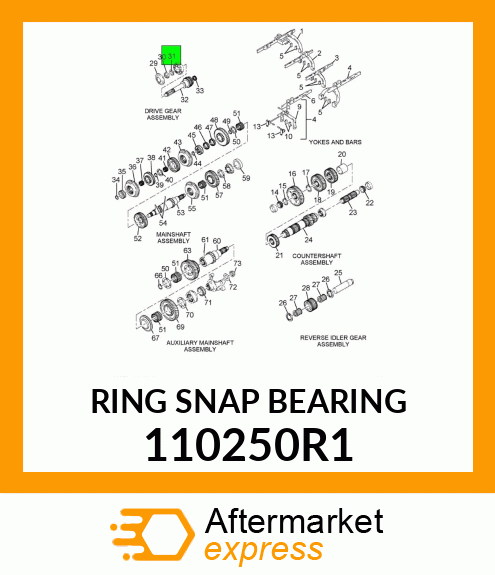 RING SNAP BEARING 110250R1