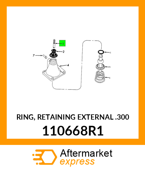 RING, RETAINING EXTERNAL .300 110668R1