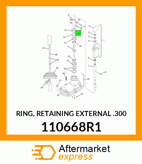 RING, RETAINING EXTERNAL .300 110668R1