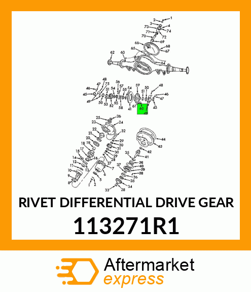 RIVET DIFFERENTIAL DRIVE GEAR 113271R1