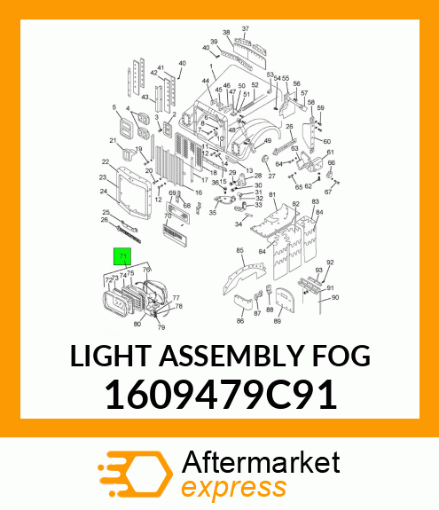 LIGHT ASSEMBLY FOG 1609479C91