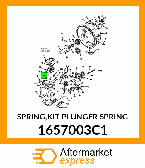 SPRING,KIT PLUNGER SPRING 1657003C1