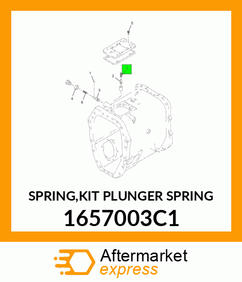 SPRING,KIT PLUNGER SPRING 1657003C1