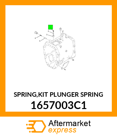 SPRING,KIT PLUNGER SPRING 1657003C1