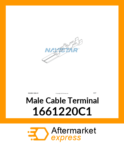 Male Cable Terminal 1661220C1