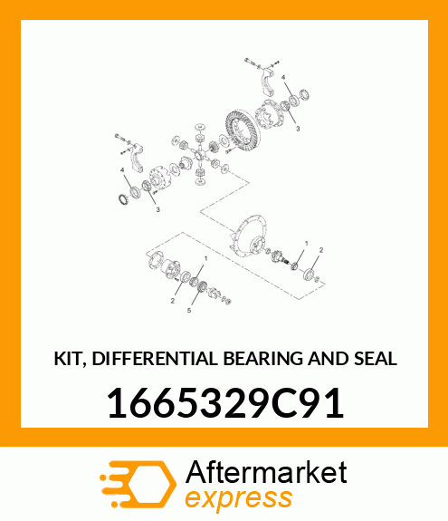 KIT, DIFFERENTIAL BEARING AND SEAL 1665329C91
