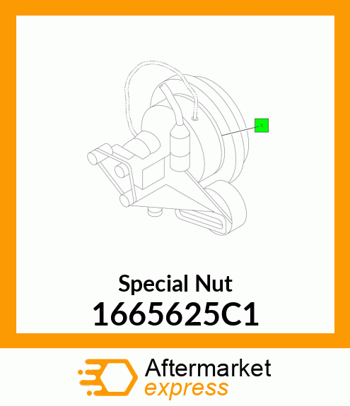 Special Nut 1665625C1