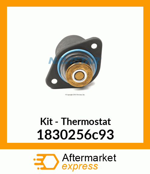 Kit - Thermostat 1830256c93