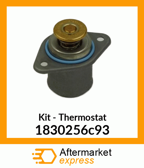 Kit - Thermostat 1830256c93