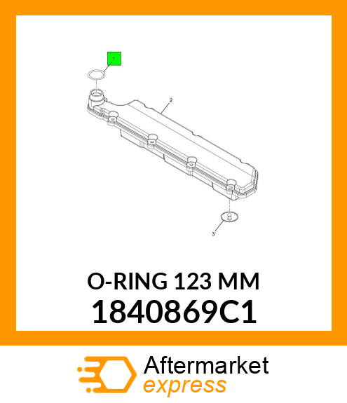 O-RING 123 MM 1840869C1