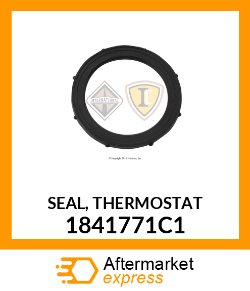 SEAL, THERMOSTAT 1841771C1