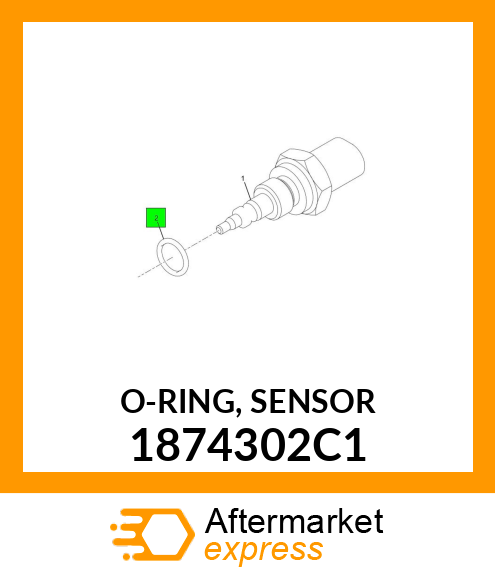 O-RING, SENSOR 1874302C1