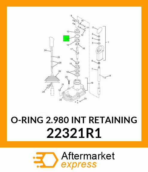 O-RING 2.980 INT RETAINING 22321R1
