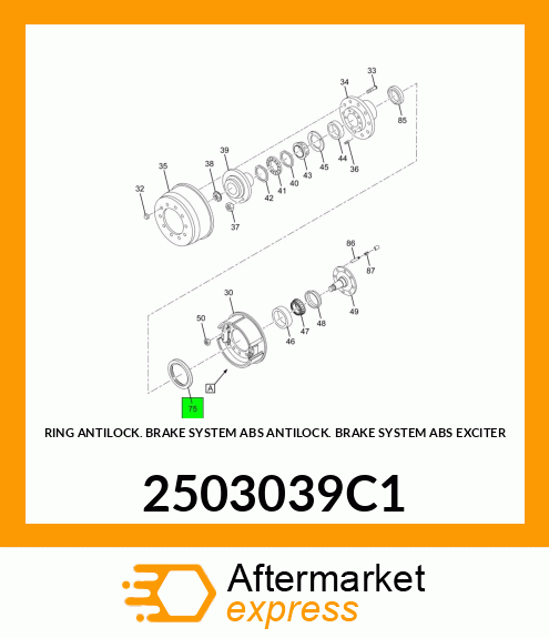 RING ANTILOCK BRAKE SYSTEM ABS ANTILOCK BRAKE SYSTEM ABS EXCITER 2503039C1