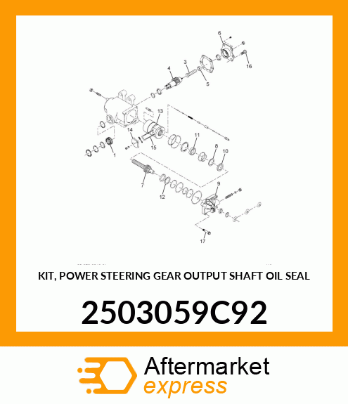 KIT, POWER STEERING GEAR OUTPUT SHAFT OIL SEAL 2503059C92