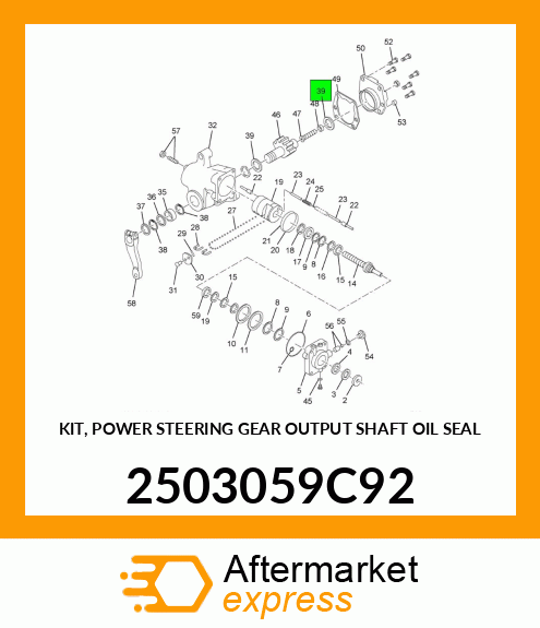 KIT, POWER STEERING GEAR OUTPUT SHAFT OIL SEAL 2503059C92