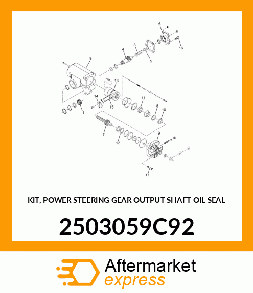 KIT, POWER STEERING GEAR OUTPUT SHAFT OIL SEAL 2503059C92