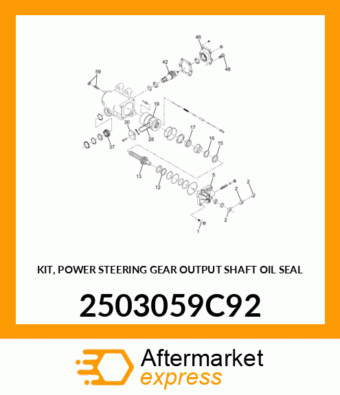 KIT, POWER STEERING GEAR OUTPUT SHAFT OIL SEAL 2503059C92