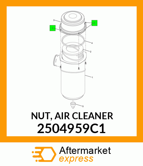 NUT, AIR CLEANER 2504959C1