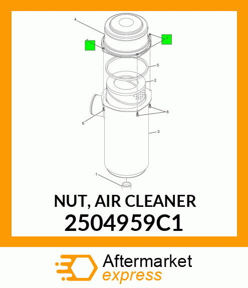 NUT, AIR CLEANER 2504959C1