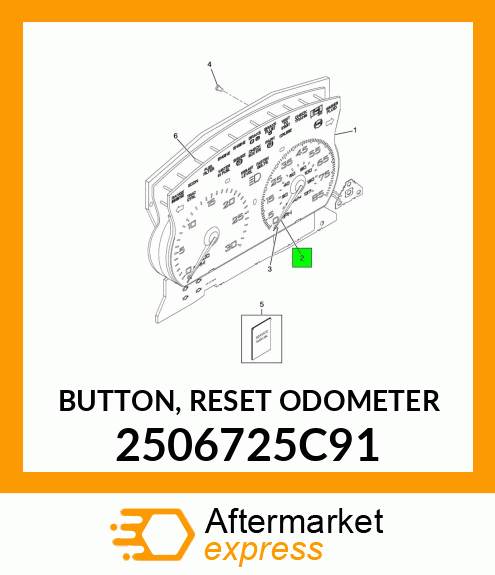 BUTTON, RESET ODOMETER 2506725C91