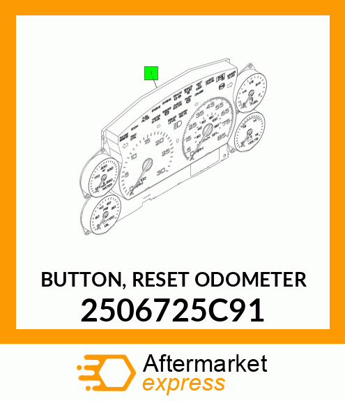 BUTTON, RESET ODOMETER 2506725C91