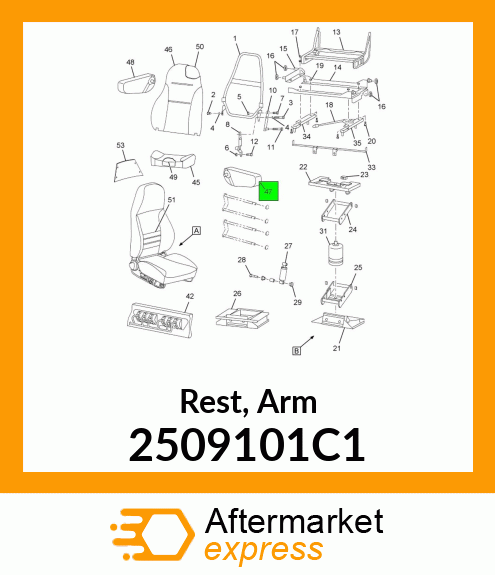 Rest, Arm 2509101C1