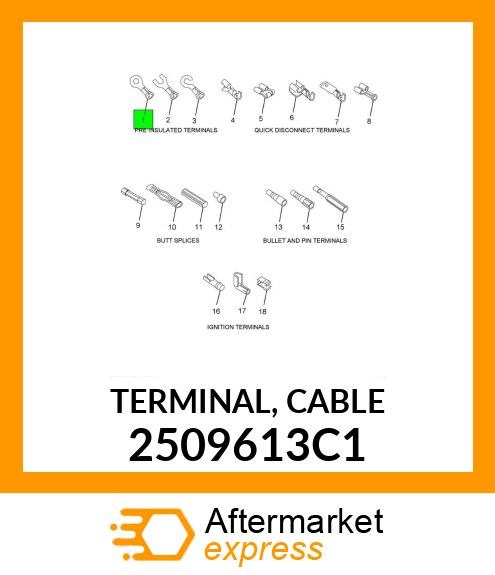 TERMINAL, CABLE 2509613C1