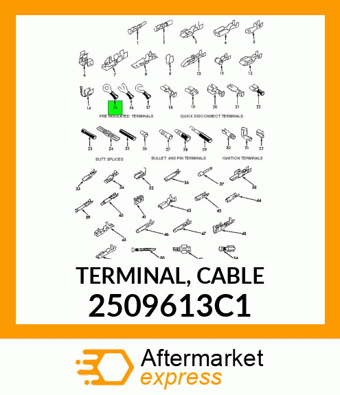 TERMINAL, CABLE 2509613C1