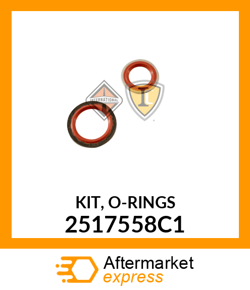 KIT, O-RINGS 2517558C1