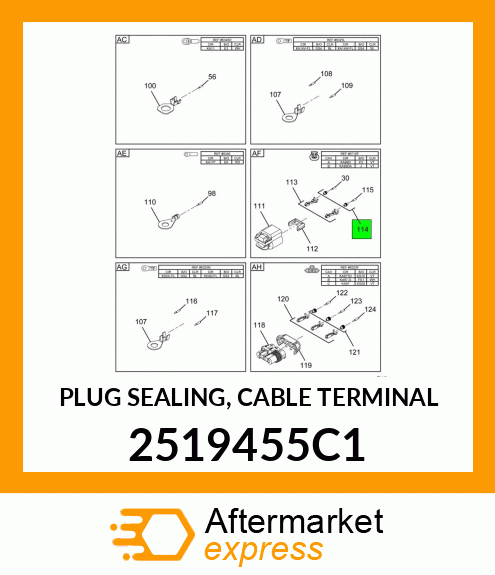 PLUG SEALING, CABLE TERMINAL 2519455C1