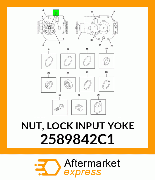 NUT, LOCK INPUT YOKE 2589842C1