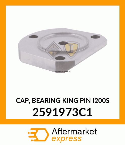 CAP, BEARING KING PIN I200S 2591973C1