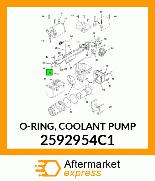 O-RING, COOLANT PUMP 2592954C1